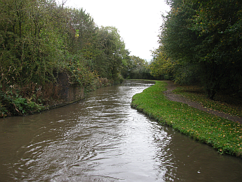 Towpath Survey: A view looking along a length of canal curving to the right. The towpath on the right of the canal is a narrow dirt track in the middle of a wide expanse of grass.