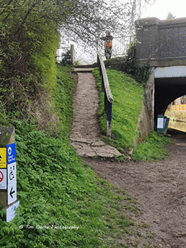Photograph showing a muddy towpath and a sign for an "Accessible Mooring". Access to the the above is via a very steep concrete path in poor condition, with two steps at the top!